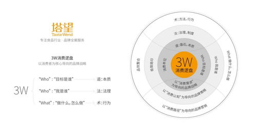 塔望核心業務介紹 食品品牌咨詢、品牌策劃與健康咨詢服務的專業體系